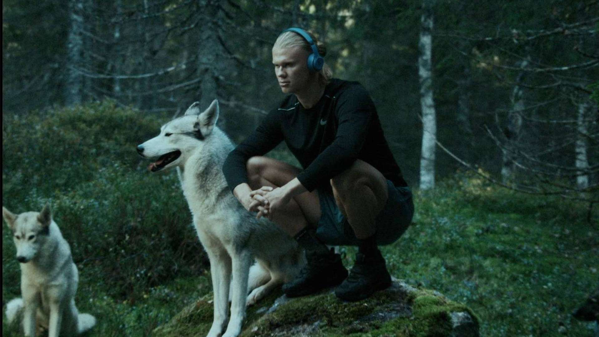 战术部署分 战术部署分