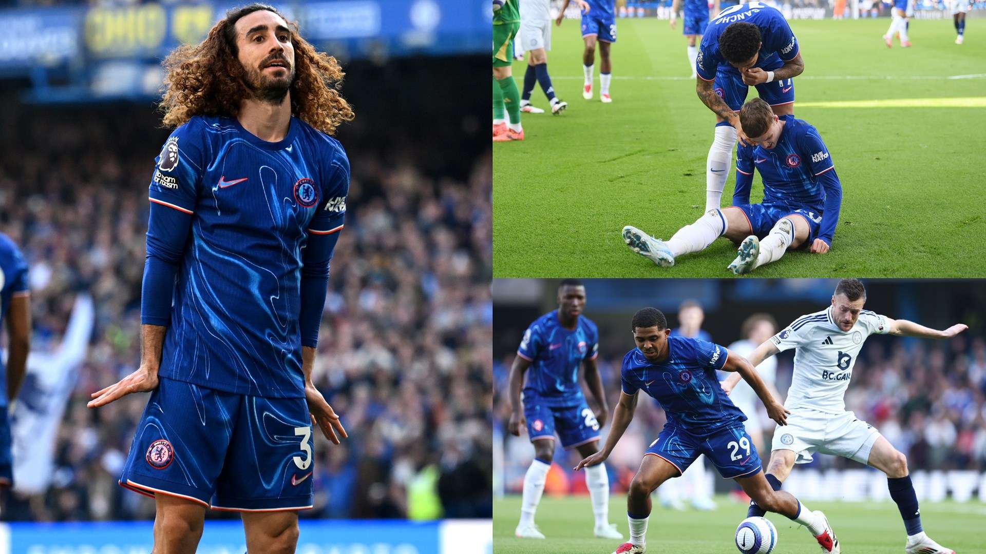 的选拔与引 的选拔与引